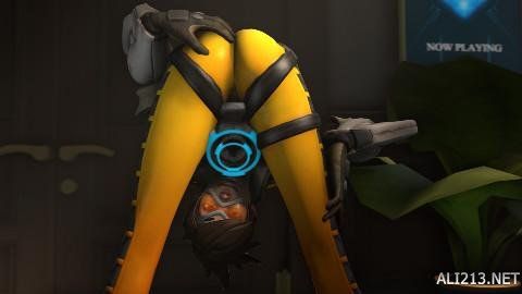 场上的常胜 场上的常胜