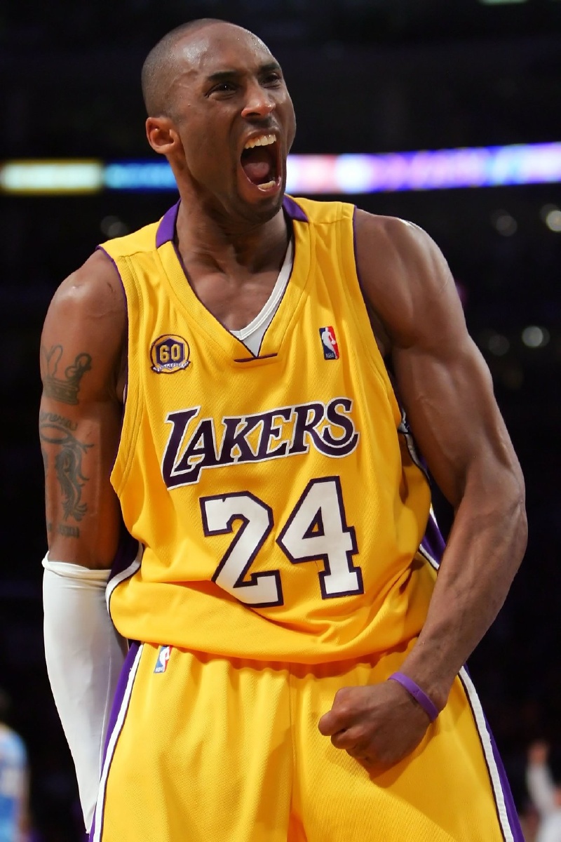 疑因网孔松 疑因网孔松